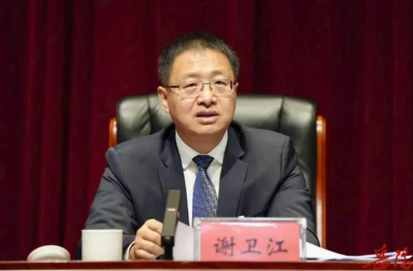 金牛速配 谢卫江任湖南省委副书记