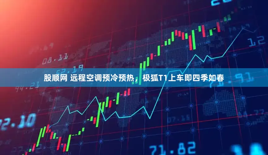股顺网 远程空调预冷预热，极狐T1上车即四季如春